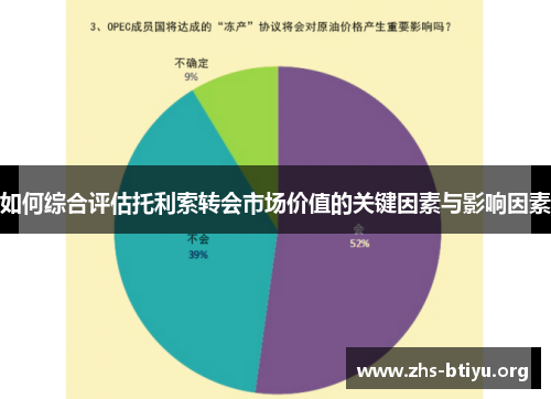 如何综合评估托利索转会市场价值的关键因素与影响因素 如何综合评估托利索转会市场价值的关键因素与影响因素