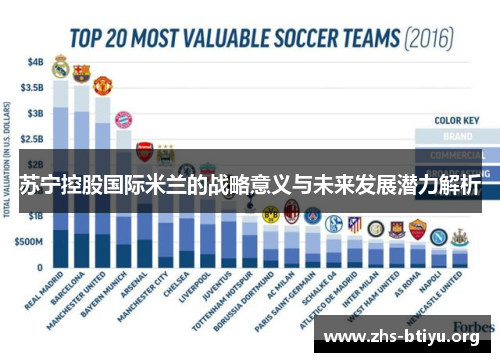 苏宁控股国际米兰的战略意义与未来发展潜力解析 苏宁控股国际米兰的战略意义与未来发展潜力解析