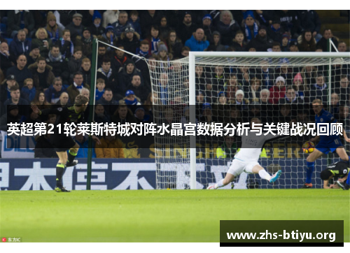 英超第21轮莱斯特城对阵水晶宫数据分析与关键战况回顾 英超第21轮莱斯特城对阵水晶宫数据分析与关键战况回顾